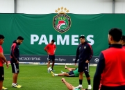 1xBit体育app下载地址-帕尔梅拉斯核心球员体能恢复，备战摩洛哥瓦赫达