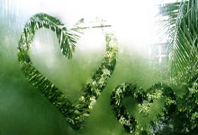 1xBit体育下载-西悉尼流浪者锋线组合默契，世俱杯争冠实力凸显的简单介绍