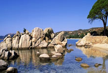 1xBit体育入口-里昂主场战胜对手，取得关键胜利