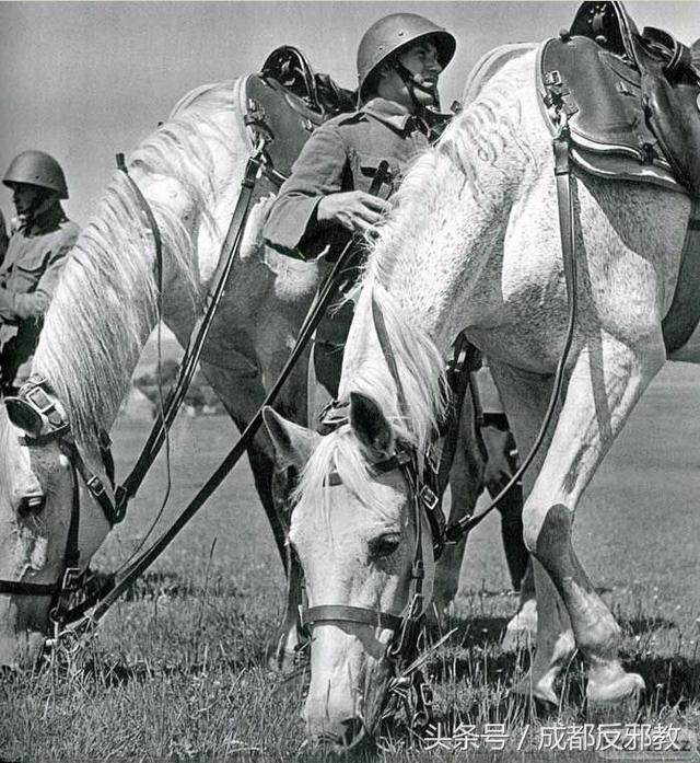 捷克战胜斯洛伐克,实力胜出领跑分组的简单介绍 捷克战胜斯洛伐克,实力胜出领跑分组的简单介绍